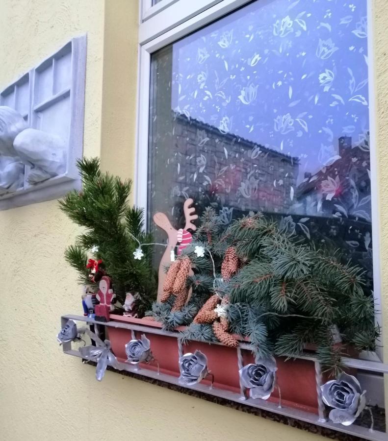 Usis_Ferienwohnung Im Harz Quedlinburg Kültér fotó